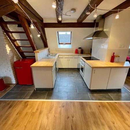 Le Petit Linck - Typique Au Coeur De Colmar Appartement Buitenkant foto