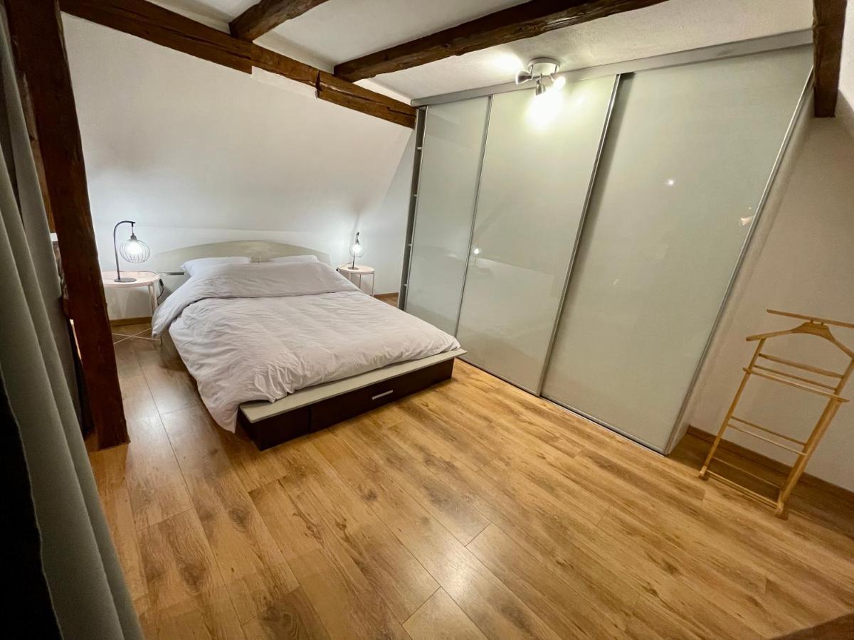 Le Petit Linck - Typique Au Coeur De Colmar Appartement Buitenkant foto